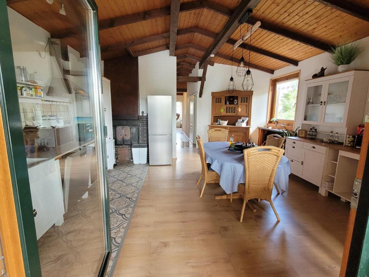 Ruheidylle Weitblick Daire Kleinich Dış mekan fotoğraf
