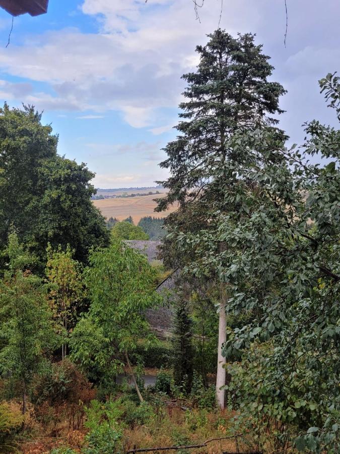 Ruheidylle Weitblick Daire Kleinich Dış mekan fotoğraf